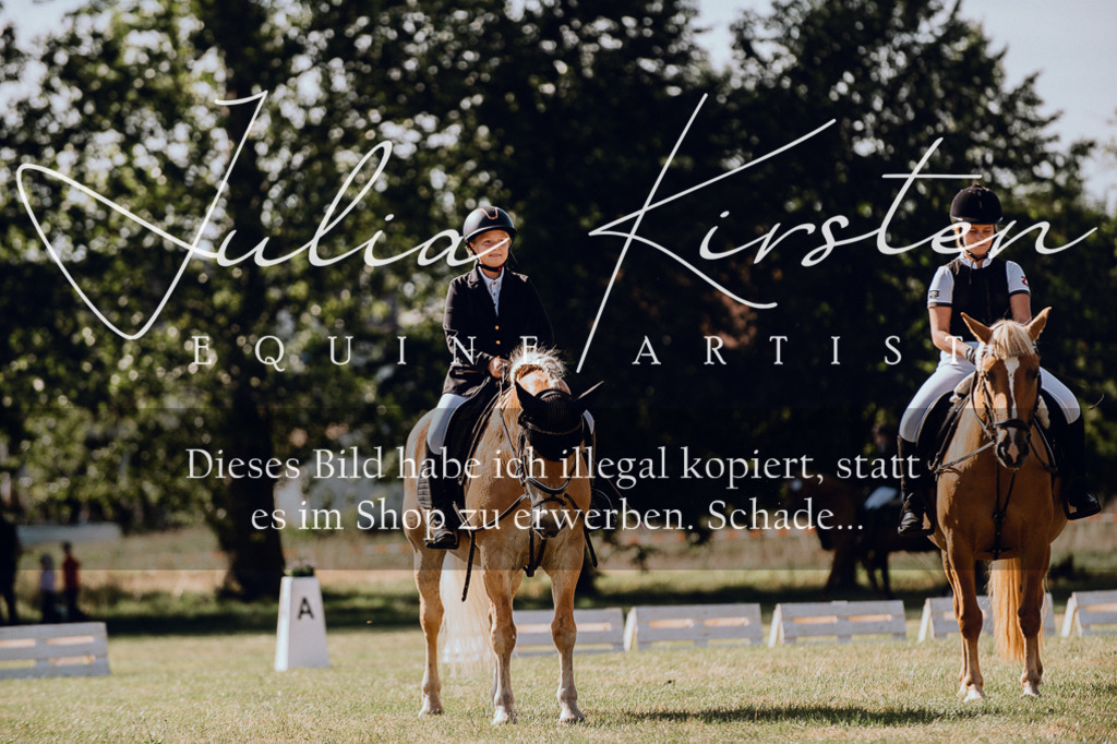 DSC_7162 | Pferde- und Turnierfotografie in Westsachsen. Pferdeportraits, Auftragszeichnungen und intuitive Kunst.