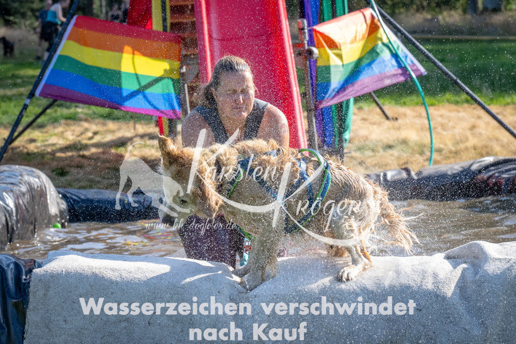 1641_ZZ90874 | kk-dogfotos