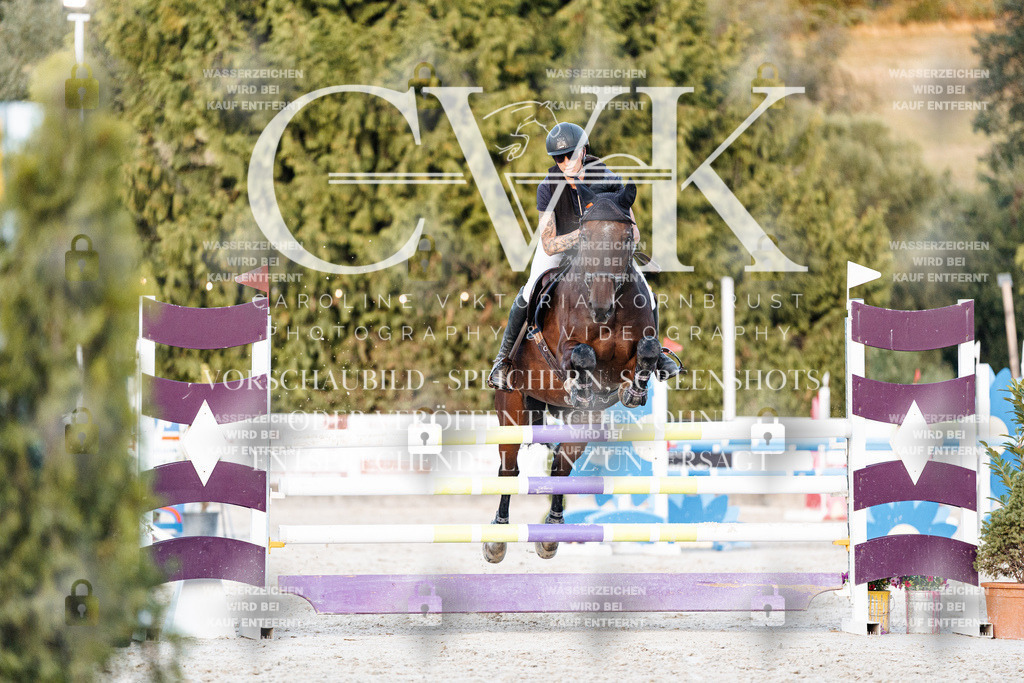 CK901351 | Turnierfotografie Pferdefotografie Trier Rheinland-Pfalz Pferdesport Reitsport Tierfotografie Sportfotografie Pferdevideo Pferdevideografie Equestrianvideography equestrianphotography  - Realisiert mit Pictrs.com