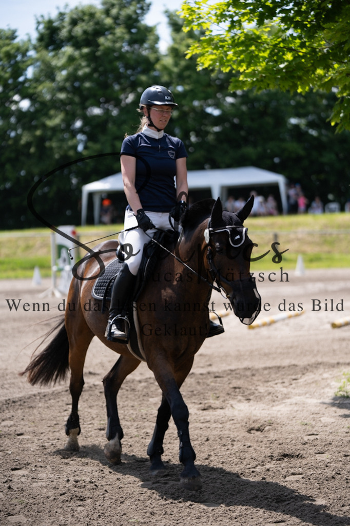 A7V03045 | Pferdefotograf