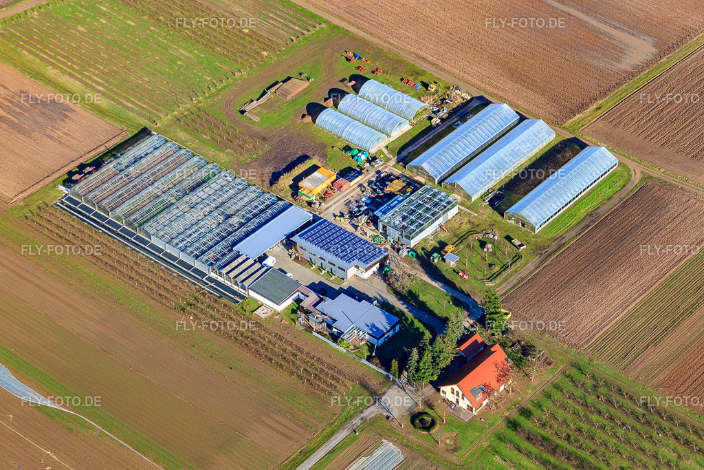 Hofladen Rainer & Sandra Kästel GbR https://www.gemuesebau-kaestel.de/ | Luftbild: Hofladen Rainer & Sandra Kästel GbR https://www.gemuesebau-kaestel.de/ im Ortsteil Geinsheim in Neustadt im Bundesland Rheinland-Pfalz in Deutschland. Foto: IMG_36941.jpg vom 16.01.2011 durch Werner Riehm/FLY-FOTO.de - Realisiert mit Pictrs.com