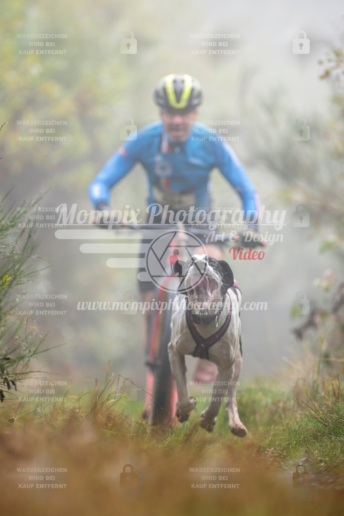 MompixPhotography_20TSB_E4_DS1-63 | PayLife