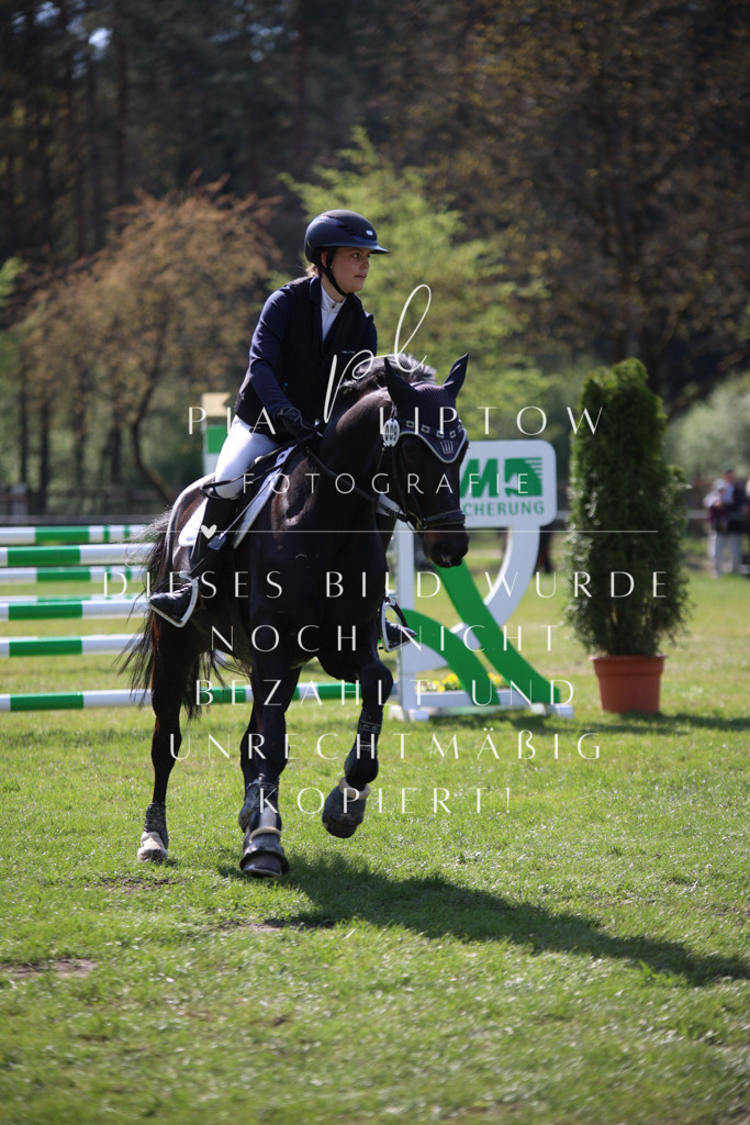 IMGT5967 | pl-fotografie