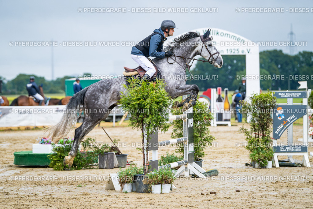 DSC03771 | Pferdegrafie