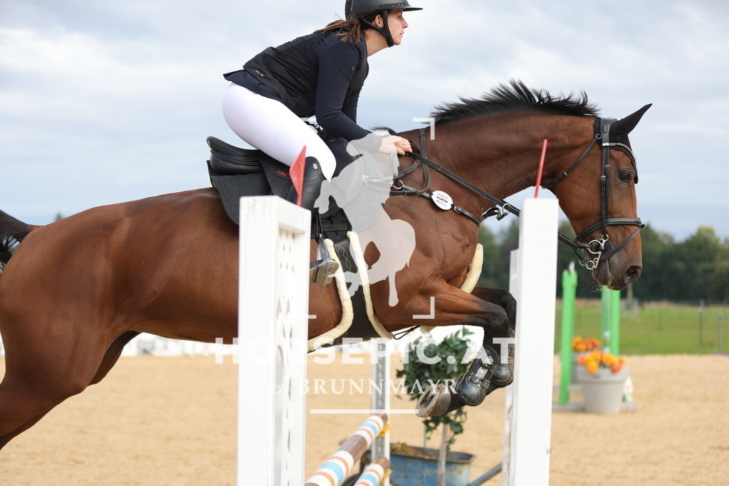 0P6A4230 | Willkommen bei Brunnmayr - Design & Fotografie – Ihrem Spezialisten für Reitturniere und Pferdeveranstaltungen in Oberösterreich, Salzburg und Bayern! Seit über 17 Jahren sind wir leidenschaftlich dabei.