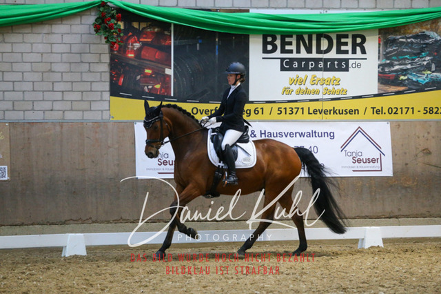 IMG_2824 | Turnierfotos kaufen im Webshop von Daniel Kuhl Photography – entdecke professionelle Reitsportfotos aus Turnieren & Events. Hochwertige Turnierbilder online bestellen & sichern. Jetzt Fotos von Reitsportturnieren kaufen!
