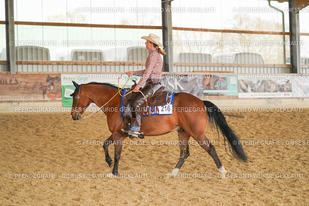 DSC01043 | Pferdegrafie