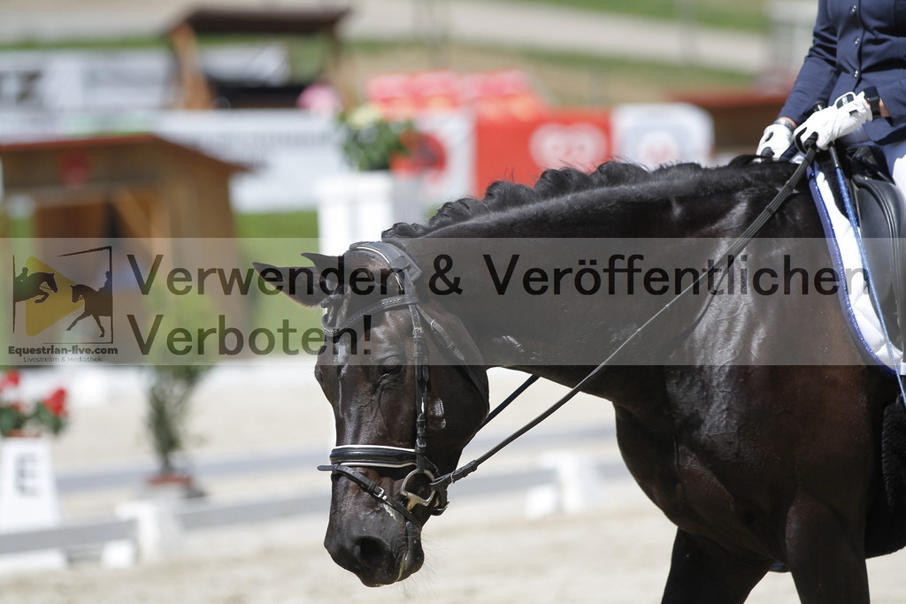 _MG_4982 | equestrian-live-com