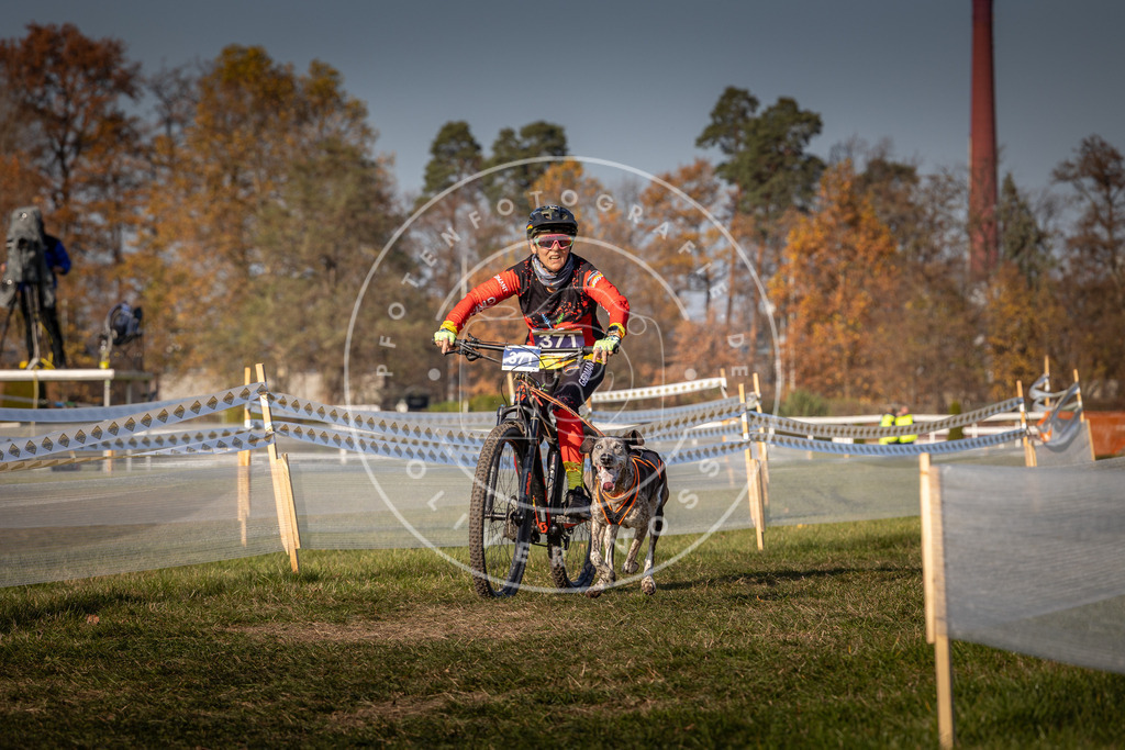 CaniXpix_0L8A7868 | Hundefotografie, Tierfotograf, Pfotenfotografie, Fotoshooting Hund, Hunde Portrait, Hundesport, Hundeportraits, Heideshooting, Hunde, Sportfotograf, Hundefotograf, Turnierhundsport, THS,  - Realisiert mit Pictrs.com