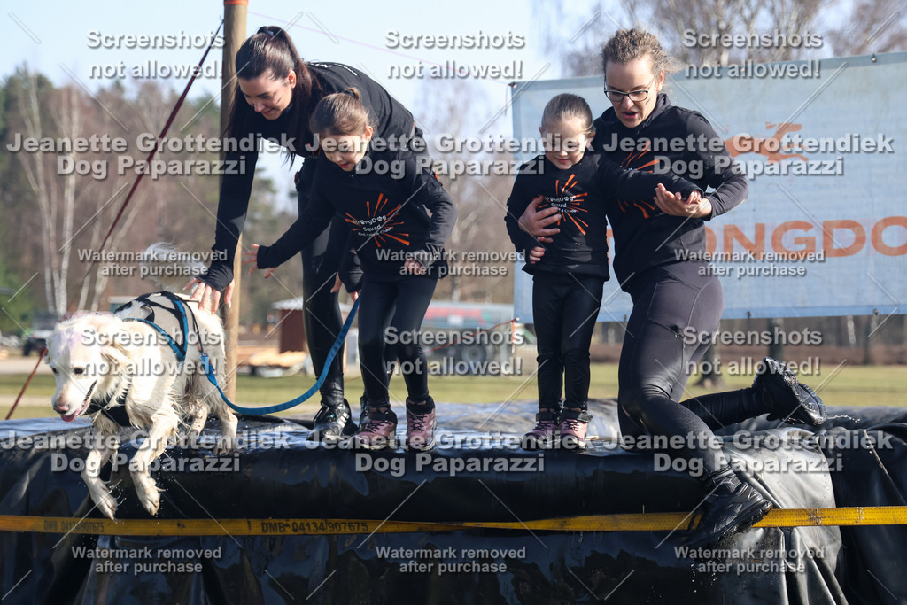 Dog Paparazzi - Strongdog North Mrz26-1435 | Dog Paparazzi Jeanette Grottendiek Fotografie & Videografie - Realisiert mit Pictrs.com