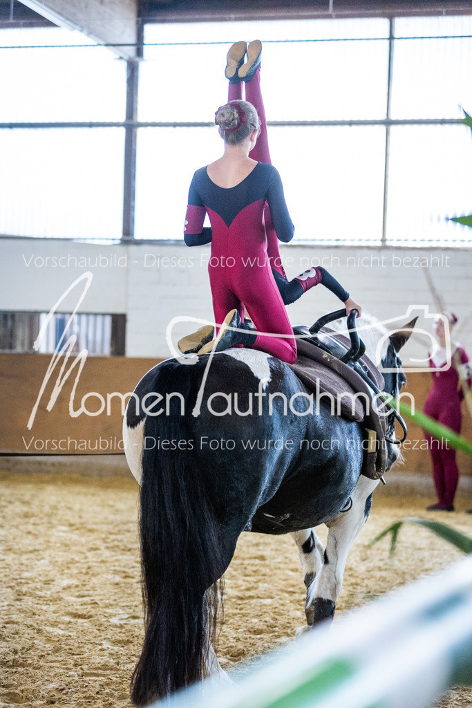 GS-NS-136 | MomenTaufnahmen Pferdesportfotos