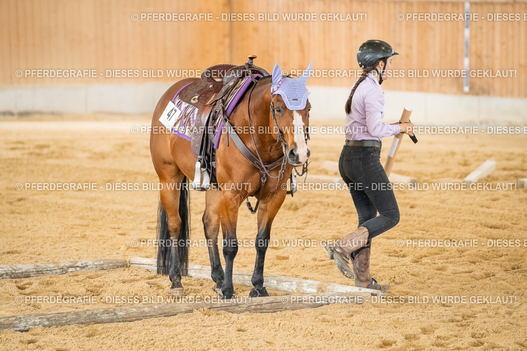 DSC07142 | Pferdegrafie