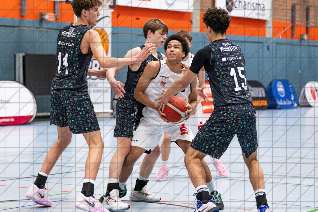 JBBL 24/25 | 23.11.2024 | Charisma Young Bulls vs. UBC Münster  | JBBL 24/25 | 23.11.2024 | Charisma Young Bulls vs. UBC Münster - - - - - CREDIT, www.bullenfotos.de, Martin König, Hörner Weg 40, D-49078 Osnabrück, +4917663732967, Nutzung und Weitergabe nur zu den vereinbarten Zwecken. Presseanfragen an Urheber. Alle Rechte beim Urheber. - - - - - - Realisiert mit Pictrs.com