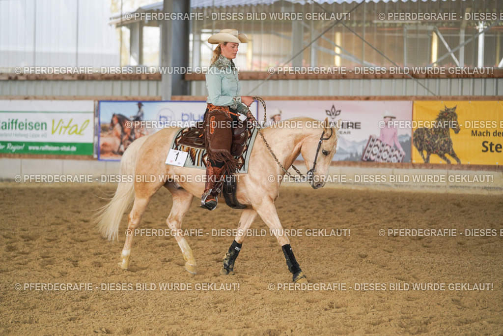 DSC01125 | Pferdegrafie