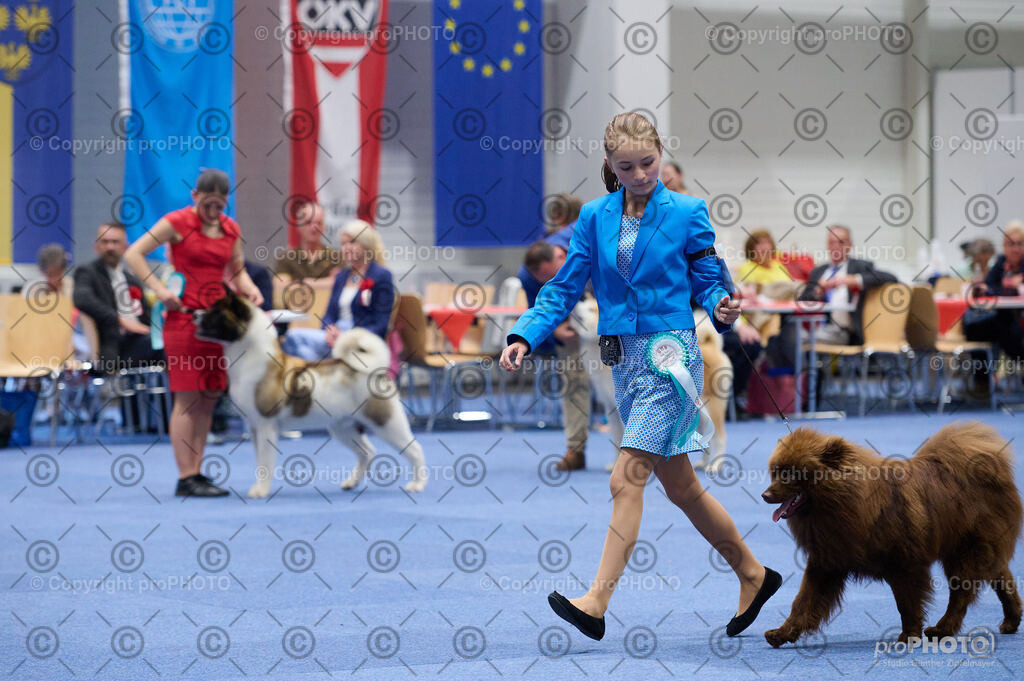 202406_ÖKV-IHA-Tulln24_DSC_3043 | proPHOTO - Realisiert mit Pictrs.com