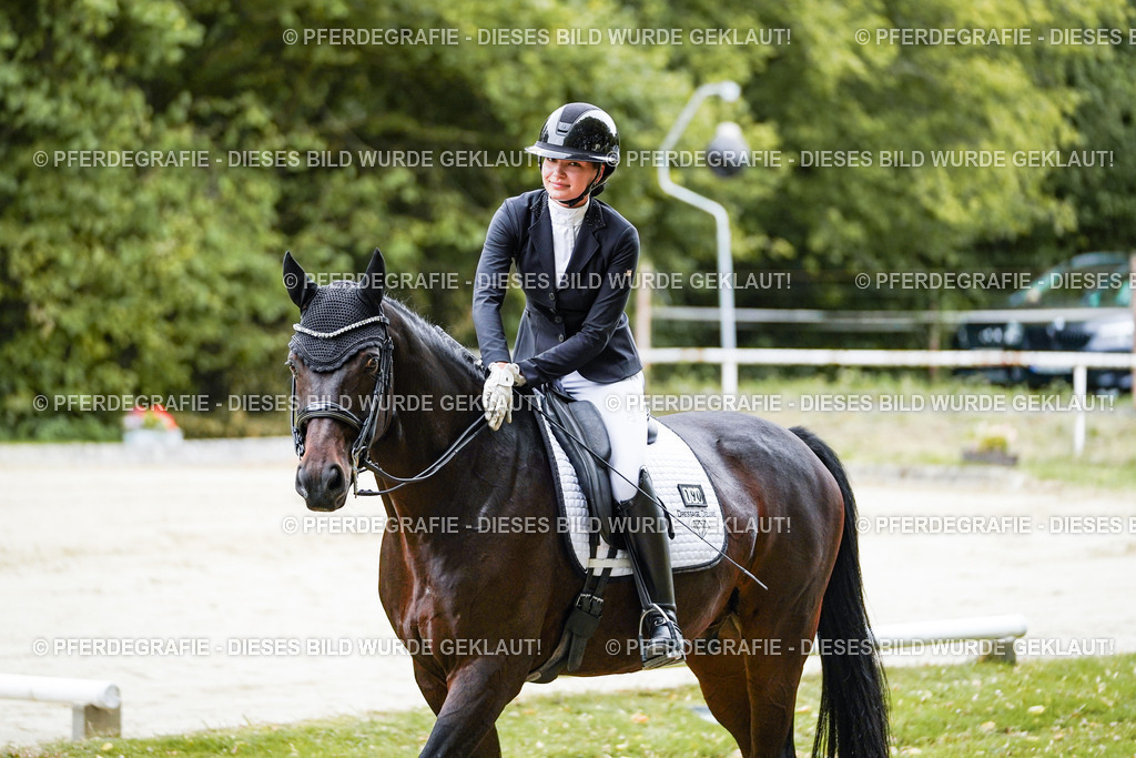 DSC09217 | Pferdegrafie