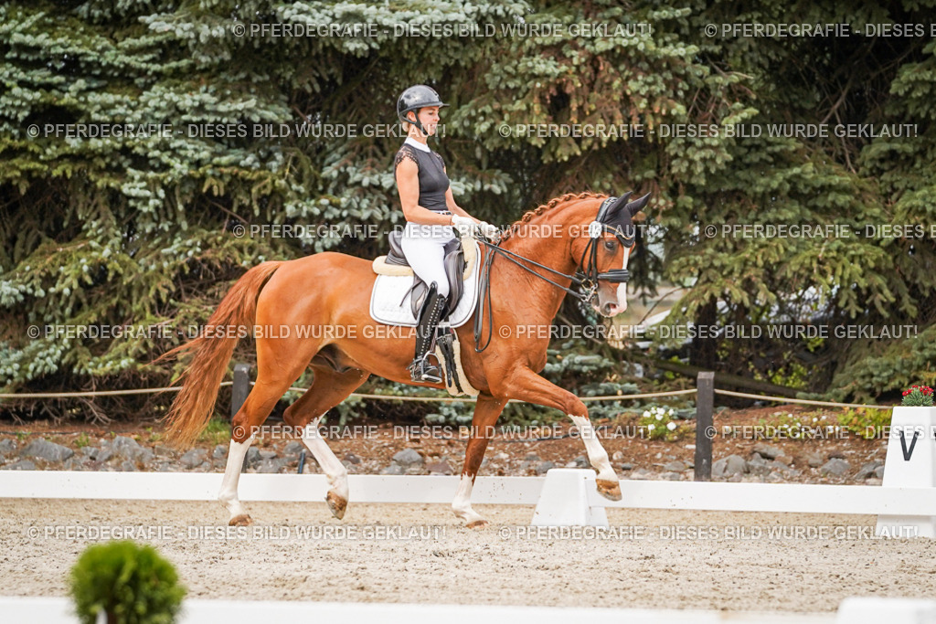 DSC07862 | Pferdegrafie