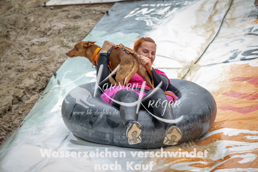 1521_ZZ96531 | kk-dogfotos