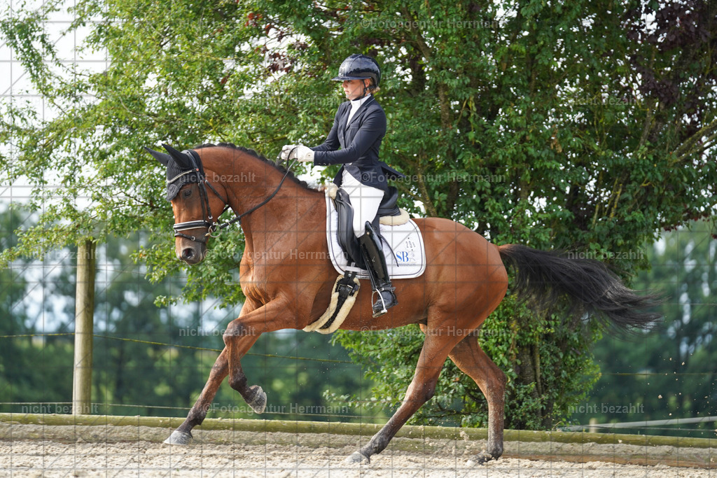 20230826-FAH04565 | Forstinning, 2023, Dressurturnier, Turniersportbilder, Turnierfotografen Bayern, Fotoagentur Herrmann, Reitsportfotografie, Turnierbilder