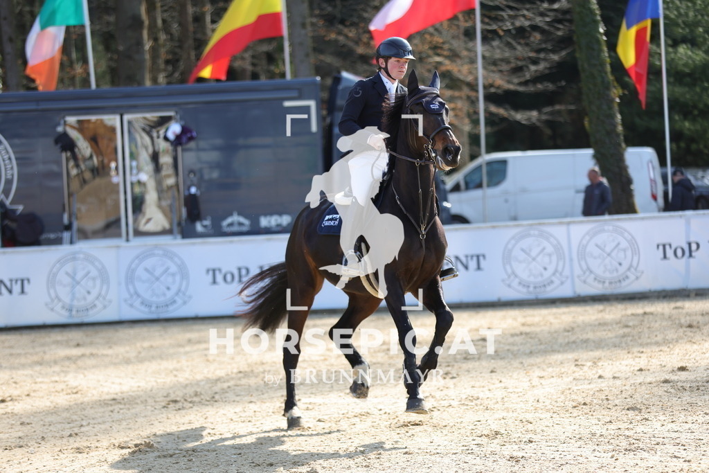 0P6A2593 | Willkommen bei Brunnmayr - Design & Fotografie – Ihrem Spezialisten für Reitturniere und Pferdeveranstaltungen in Oberösterreich, Salzburg und Bayern! Seit über 17 Jahren sind wir leidenschaftlich dabei.