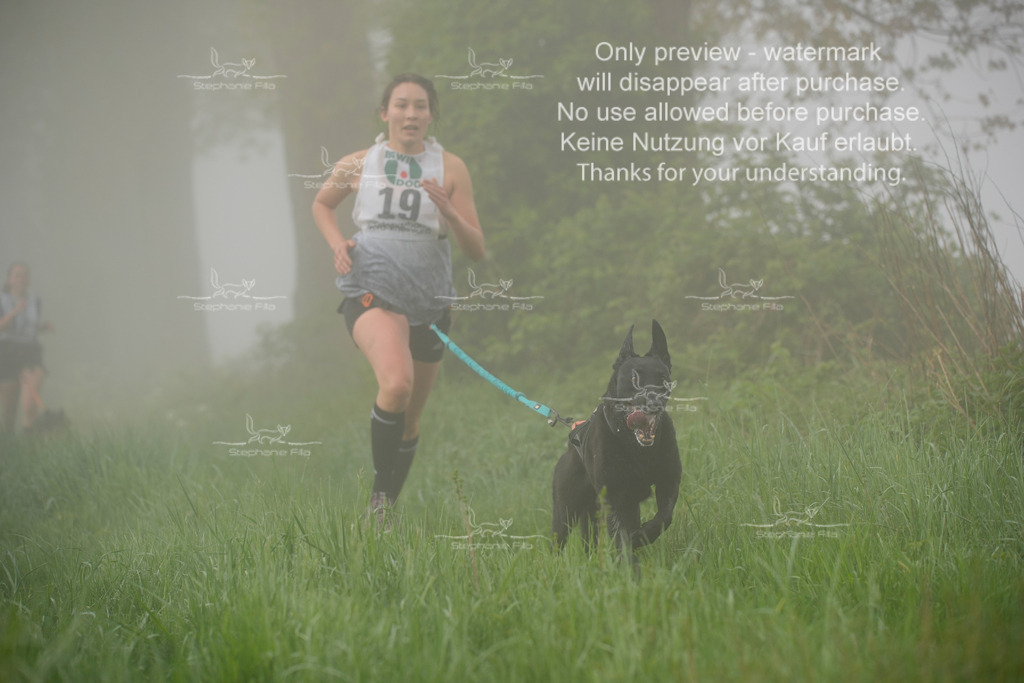 SA_GL2-107 | stephaniefillaphotographie - Realisiert mit Pictrs.com