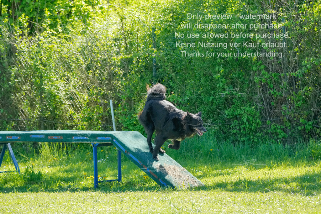 Sa_VK3_03-60 | stephaniefillaphotographie - Realisiert mit Pictrs.com