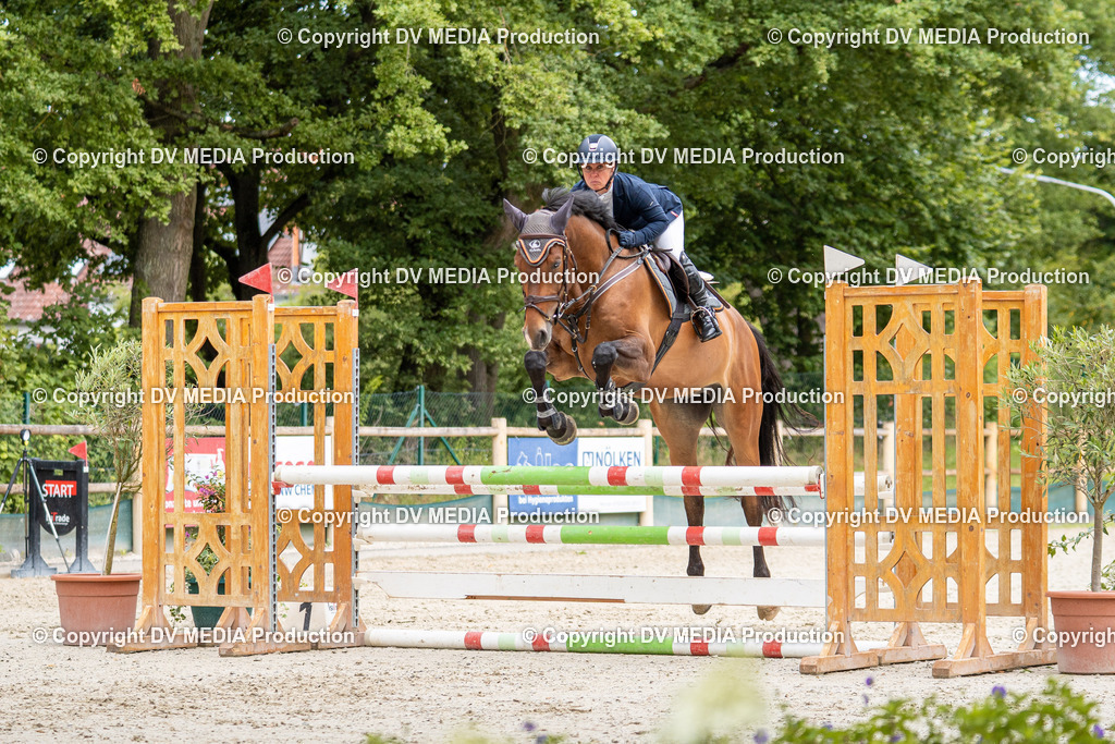 Hessische Tag 1-034 | dv-media-shop - Realisiert mit Pictrs.com