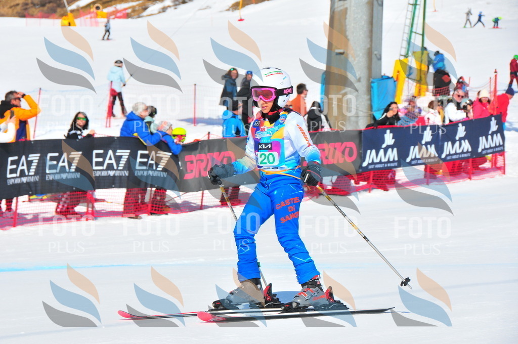 DSC_0946 | holidayphoto