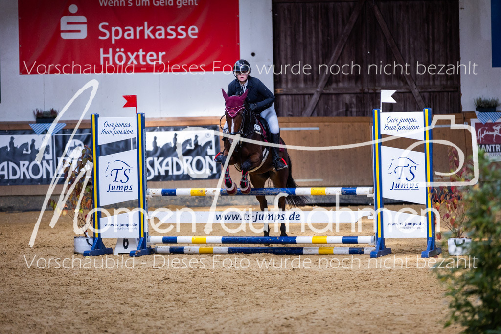 Sth-A-Springen-026 | MomenTaufnahmen Pferdesportfotos