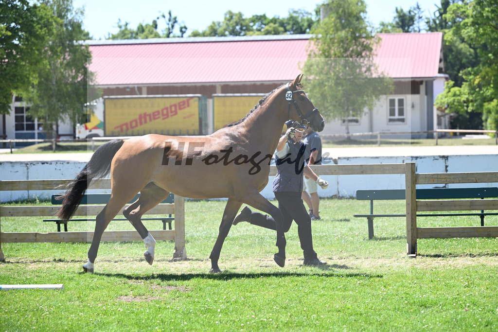 Kat-Nr. 32 Goldona v. Fusionist_HLG Schwaiganger_19250632 | hf-fotografie - Realisiert mit Pictrs.com