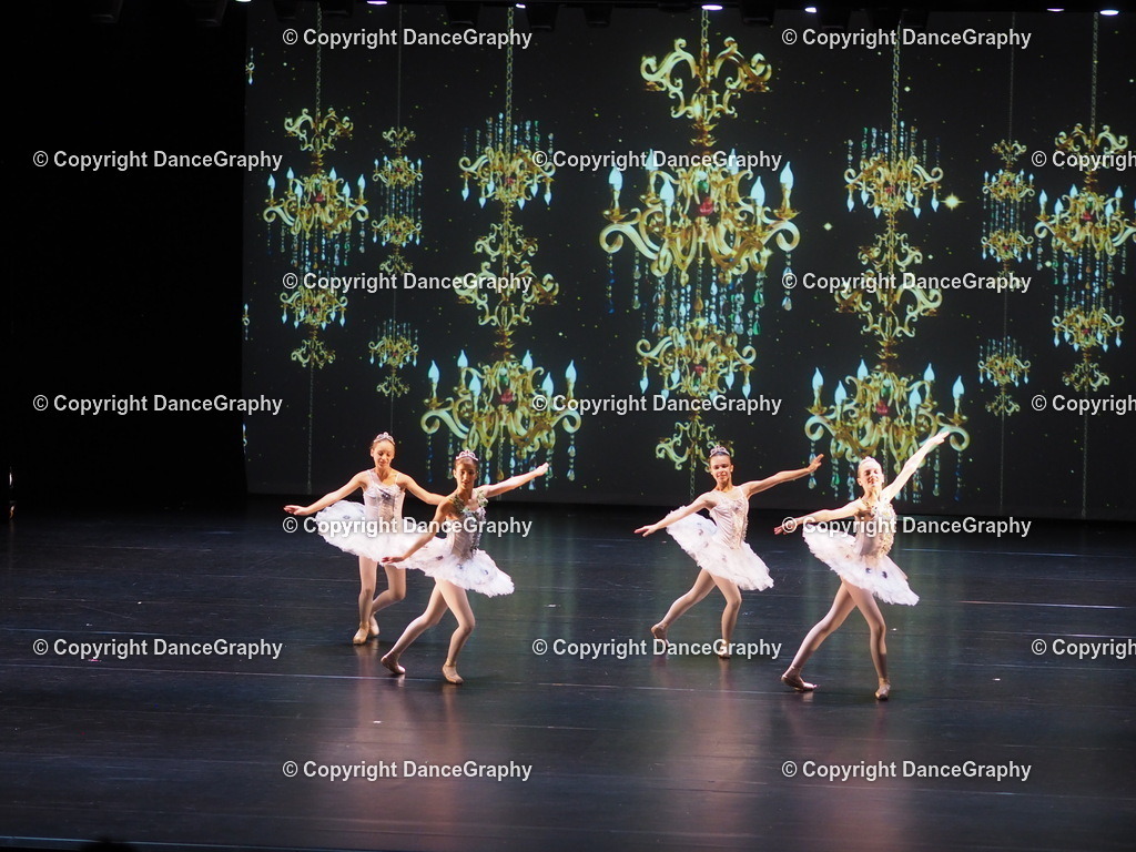 P7260431 | DanceGraphy - Realisiert mit Pictrs.com