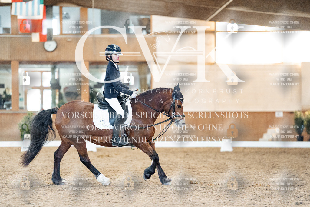 CK907888 | Turnierfotografie Pferdefotografie Trier Rheinland-Pfalz Pferdesport Reitsport Tierfotografie Sportfotografie Pferdevideo Pferdevideografie Equestrianvideography equestrianphotography  - Realisiert mit Pictrs.com