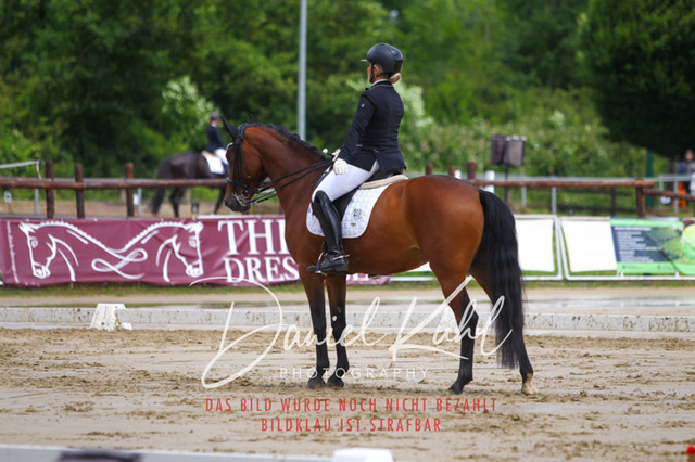 DKP40619 | Turniersportfotografie; Pferdefotografie; Dressurfotografie