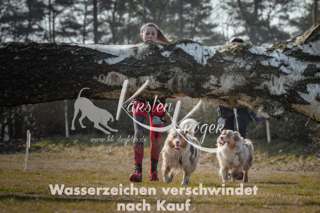 1041_ZZ93385 | kk-dogfotos