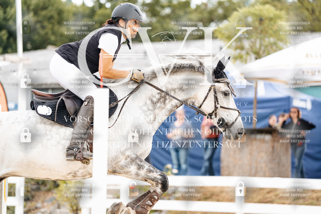 CK902636 | Turnierfotografie Pferdefotografie Trier Rheinland-Pfalz Pferdesport Reitsport Tierfotografie Sportfotografie Pferdevideo Pferdevideografie Equestrianvideography equestrianphotography  - Realisiert mit Pictrs.com
