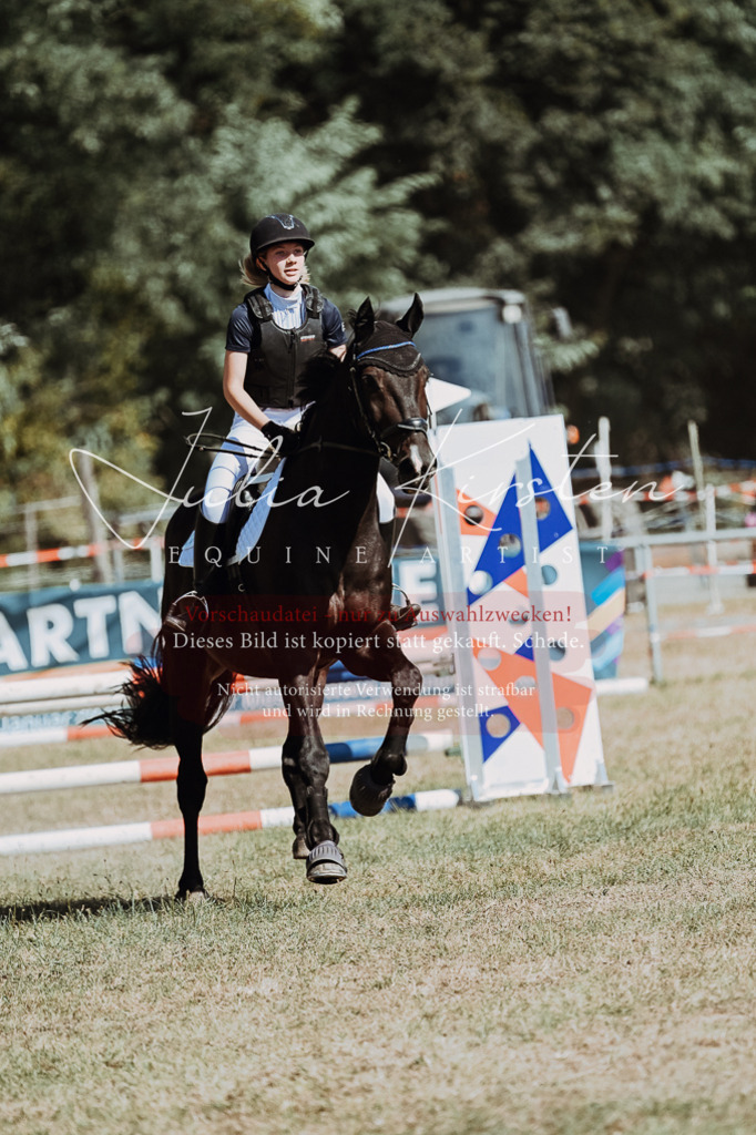 DSC_9706 | Pferde- und Turnierfotografie in Westsachsen. Pferdeportraits, Auftragszeichnungen und intuitive Kunst.