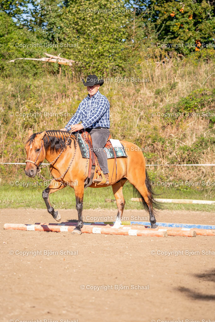 SAL02510 | BS-foto