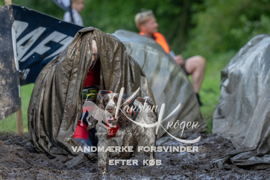 1633_ZZ93639 | kk-dogfotos