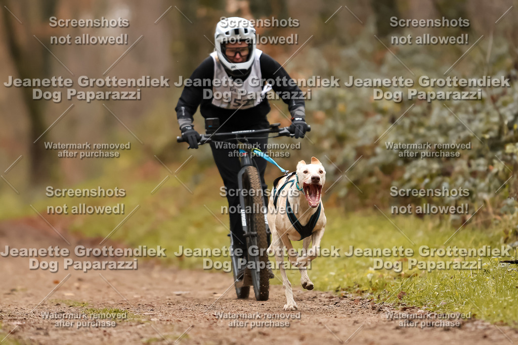Dog Paparazzi - Speedhunter Mannheim  2025-423 | Dog Paparazzi Jeanette Grottendiek Fotografie & Videografie