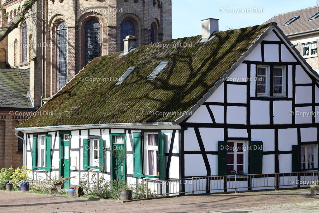 IMG_2148 | Didi - Realisiert mit Pictrs.com