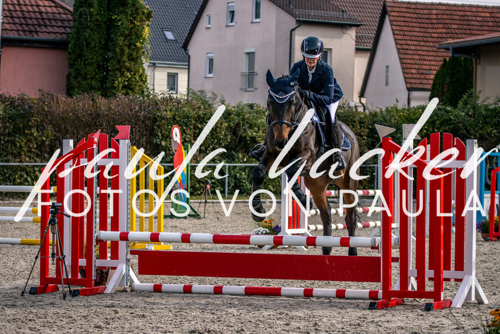 IMG_5523 | Erleben Sie dynamische Sport- und emotionale Tierfotografie in Süddeutschland mit Fotos von Paula. Spezialisiert auf Pferde- und Hundefotografie sowie Sportevents. Kontaktieren Sie mich für einzigartige und ausdrucksstarke Bilder Ihrer besonderen Momente.