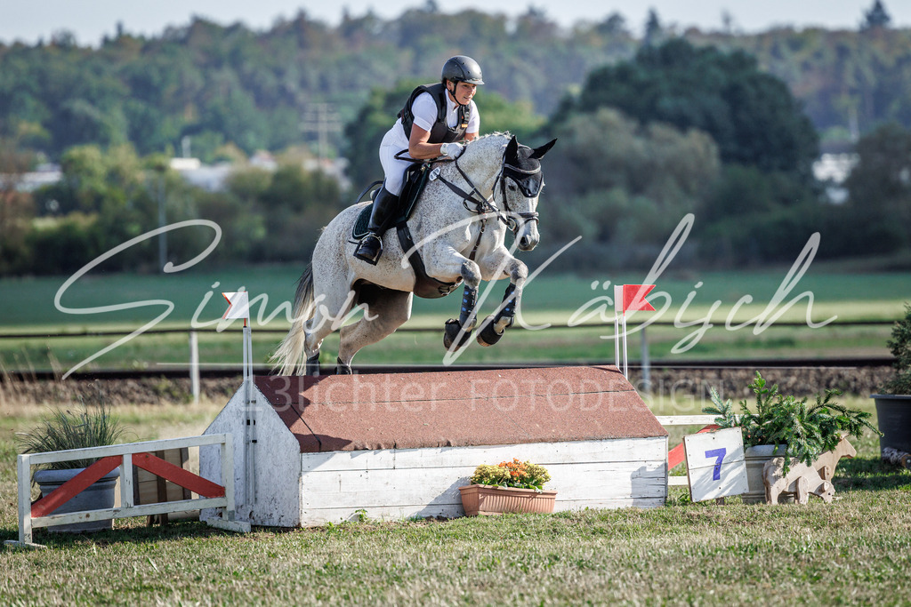 20260905-_3LI0178 | Tierfotografie Pferde, Hunde, Katzen, Haustiere.
Turnierfotografie Reitturniere, Reiten, Springreiten, Dressur in Hanau, dem Main-Kinzig-Kreis und dem Rhein-Main- Gebiet um Frankfurt