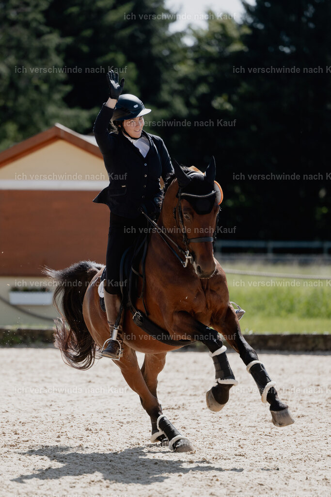 Nadine22_FHC2025-97 | working equitationturnier fotograf videograf stoibphotography marixx film working equitation deutschland reitsport turnierfotografie eventfotografie equestrian events