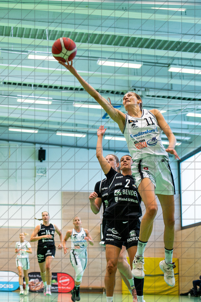 2. DBBL Nord 24/25 | 06.10.2024 | BBC OS vs. Bender Baskets Grünberg | 2. DBBL Nord 24/25 | 06.10.2024 | BBC OS vs. Bender Baskets Grünberg - - - - - CREDIT, www.bullenfotos.de, Martin König, Hörner Weg 40, D-49078 Osnabrück, +4917663732967, Nutzung und Weitergabe nur zu den vereinbarten Zwecken. Presseanfragen an Urheber. Alle Rechte beim Urheber. - - - - - - Realisiert mit Pictrs.com