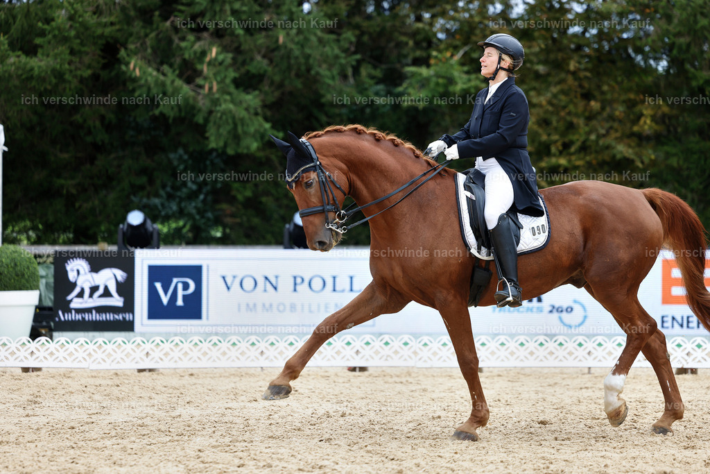 6-090-AMATUER-DRESSUR S_  -StoibPH-3595 | working equitationturnier fotograf videograf stoibphotography marixx film working equitation deutschland reitsport turnierfotografie eventfotografie equestrian events