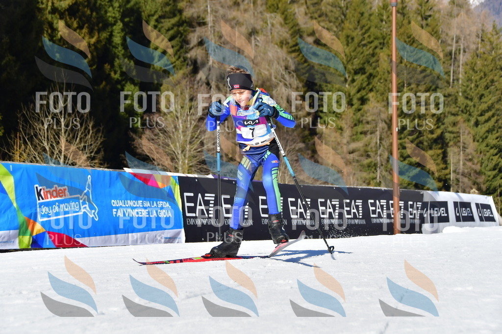 _DSC8636 | holidayphoto