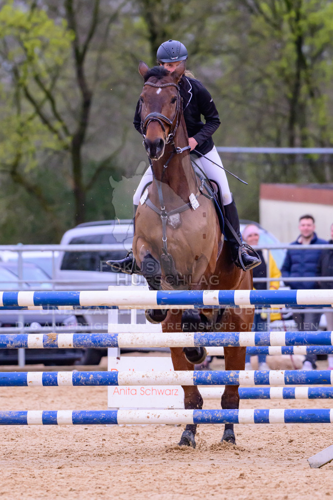 10042026-Mammendorf-Prfg19-0547 | Fokus Hufschlag Fotografie - Realisiert mit Pictrs.com