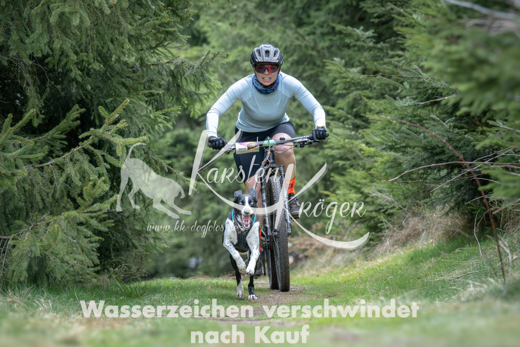 1309_ZZ93666 | kk-dogfotos