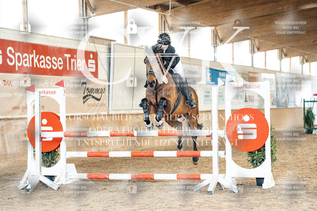CK904869 | Turnierfotografie Pferdefotografie Trier Rheinland-Pfalz Pferdesport Reitsport Tierfotografie Sportfotografie Pferdevideo Pferdevideografie Equestrianvideography equestrianphotography  - Realized with Pictrs.com