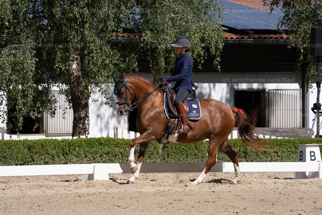 WL_DR_86_sinafilmart_IN06977 | working equitationturnier fotograf videograf stoibphotography marixx film working equitation deutschland reitsport turnierfotografie eventfotografie equestrian events